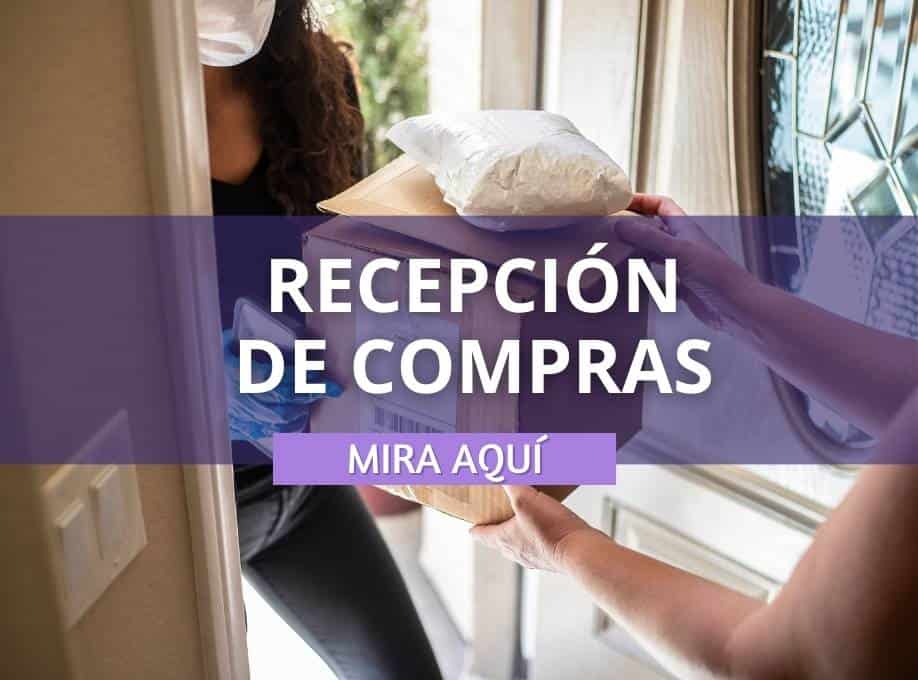 RECEPCIÓN DE COMPRAS en Japón