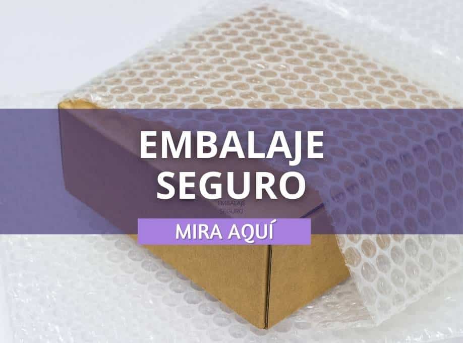 EMBALAJE SEGURO en Japón