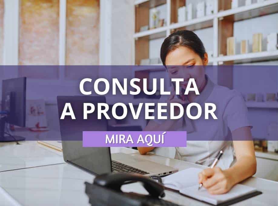 Consultas a proveedor de Japón