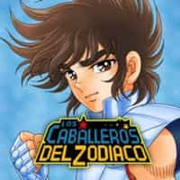 Caballeros del Zodiaco Productos desde Japon