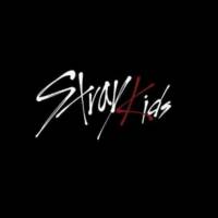 Stray Kids productos kpop